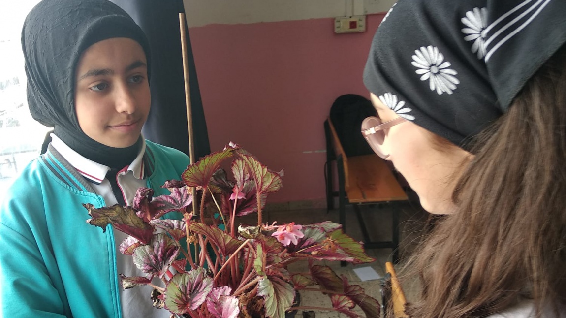 Okullarda öğrenciler arasında çiçek vb. yetiştirilerek hediye etme etkinliği düzenlendi